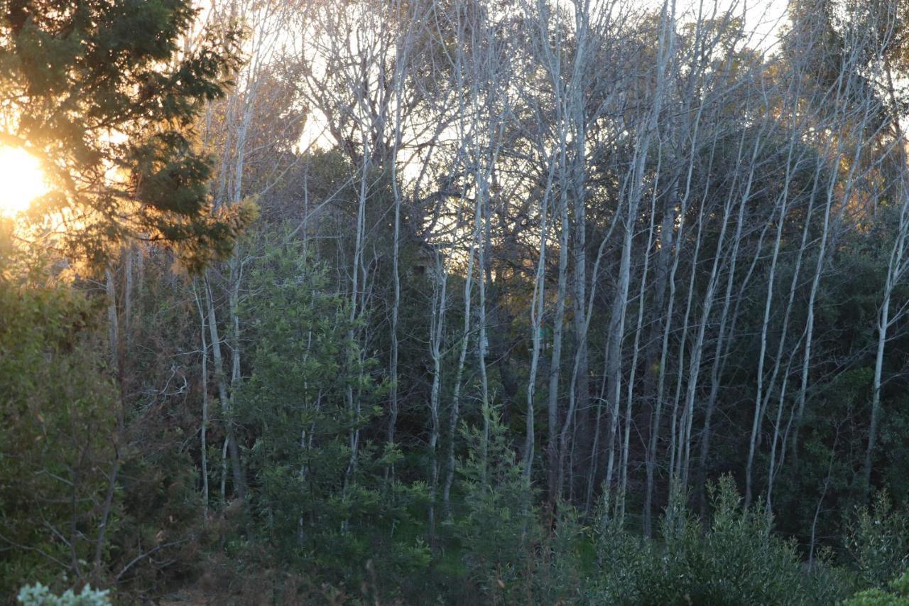 Отель Highlands Eco Estate Piketberg Экстерьер фото